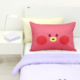BT21 Mini Pillow Cover